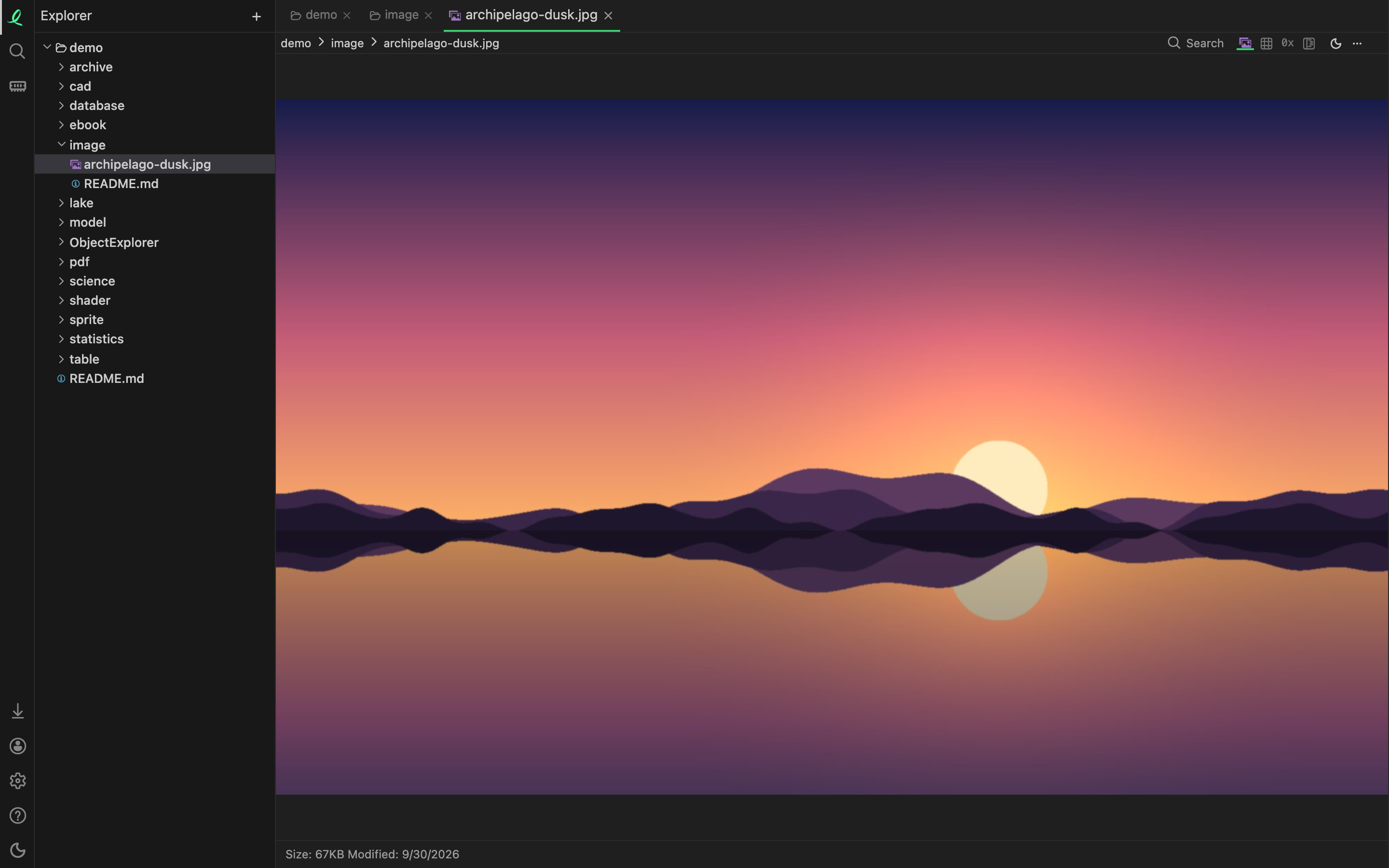 Instant mode in a browser: the demo folder in the tree, a photo open, and Download app above the account icon